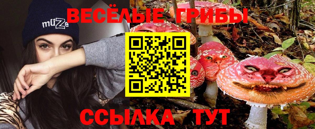 Галлюциногенные грибы мухоморы Ливны