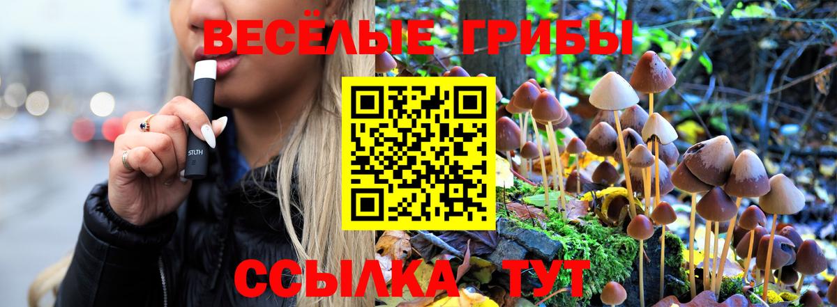 Галлюциногенные грибы Magic Shrooms  Вход с VPN  Ливны  Галлюциногенные грибы MAGIC MUSHROOMS 